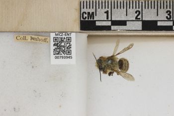 Media type: image;   Entomology 793945 Aspect: Labels